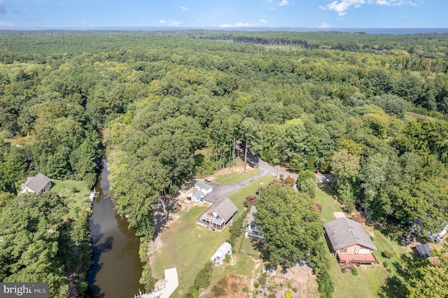 bird's eye view with a view of trees