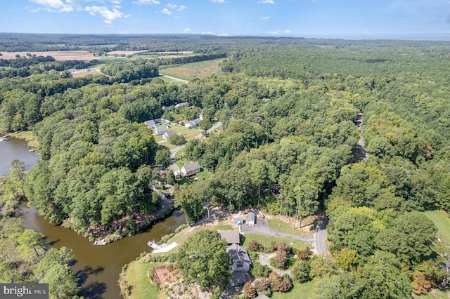 bird's eye view with a water view and a wooded view