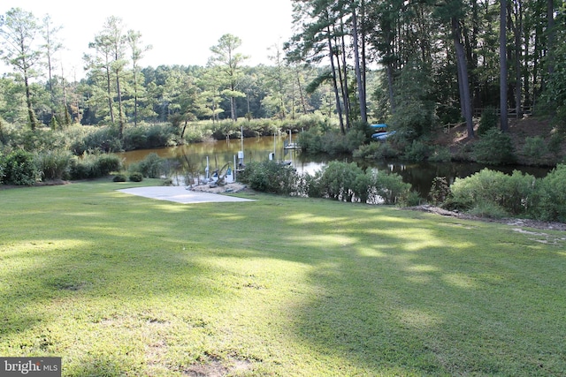 view of yard featuring a water view and a boat dock