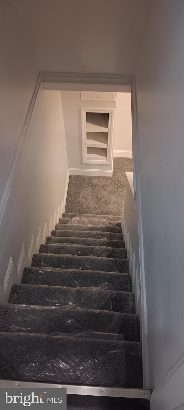 staircase with carpet flooring