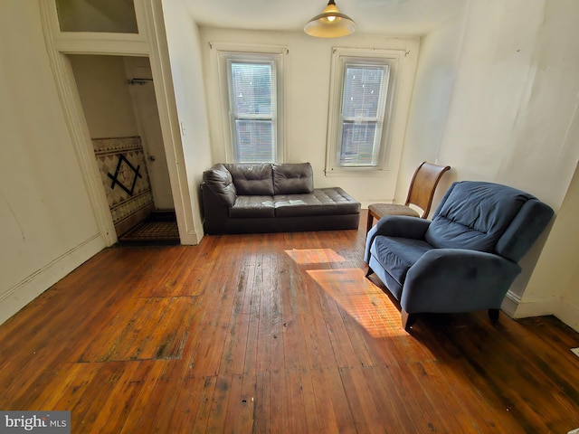 living area featuring wood-type flooring