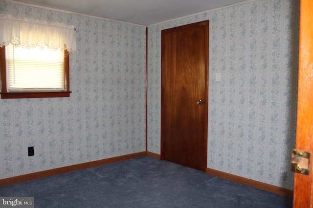 unfurnished bedroom with carpet flooring and a closet