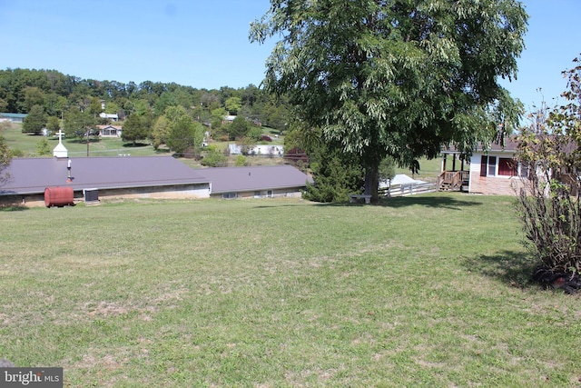 view of yard