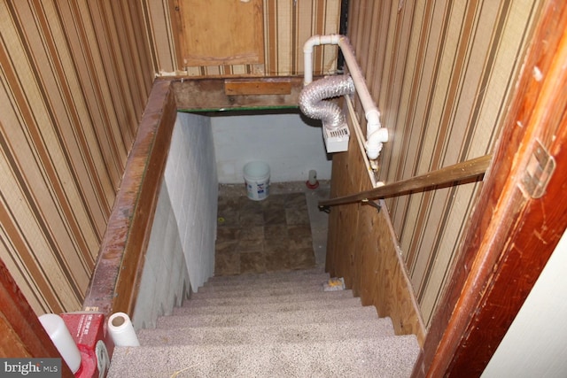 staircase featuring carpet flooring