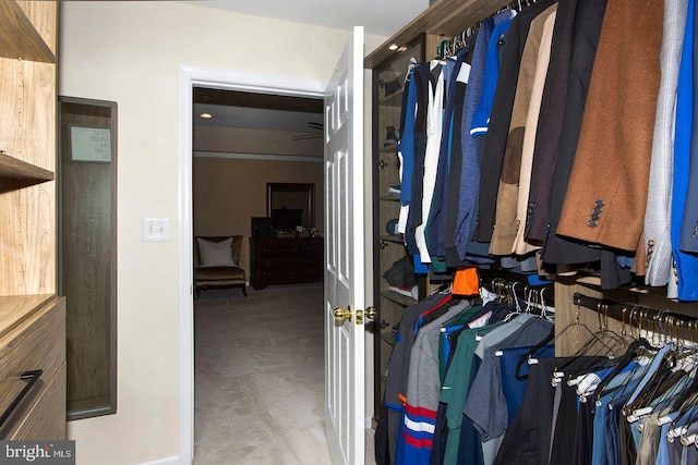 spacious closet with carpet floors