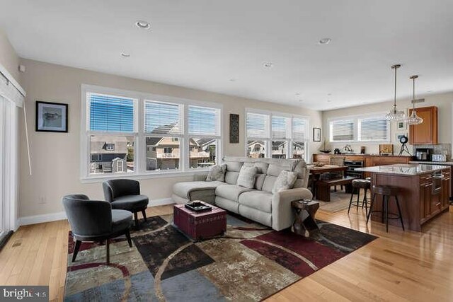 living room with hardwood / wood-style flooring