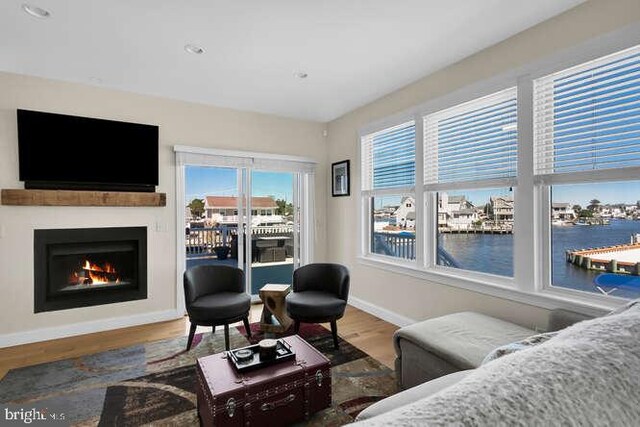 living room featuring light hardwood / wood-style floors