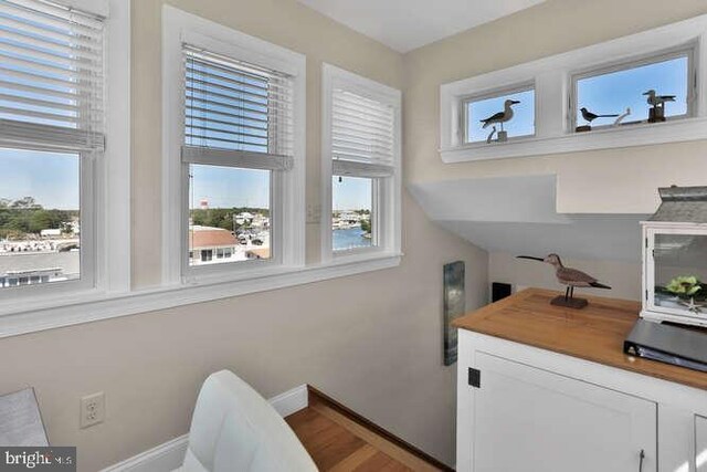 home office with dark wood-type flooring and a water view