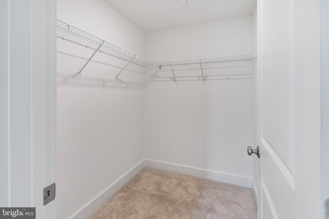 1333 German Driveway, Hanover, MD 21076 - walk in closet with carpet