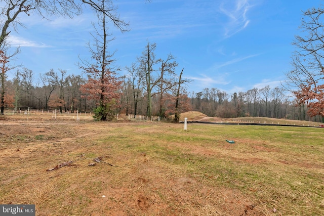 1333 German Driveway, Hanover, MD 21076 - view of green lawn with a forest view