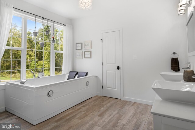 bathroom featuring wood-type flooring and a tub to relax in