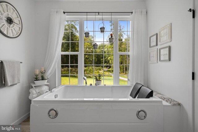 bathroom featuring wood-type flooring, a washtub, and plenty of natural light