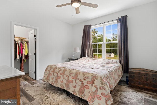 bedroom with a spacious closet, a closet, ceiling fan, and hardwood / wood-style flooring