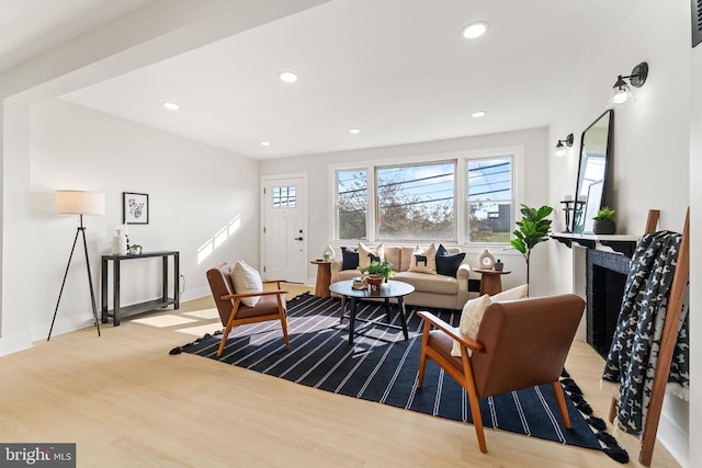 living room with light wood-type flooring