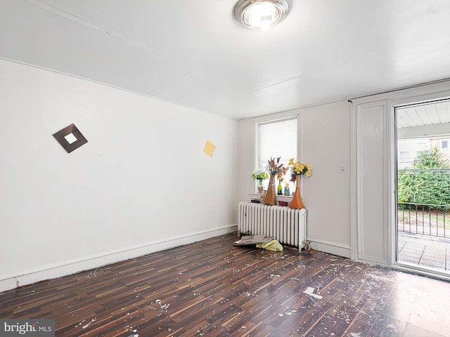 foyer featuring radiator heating unit, dark hardwood / wood-style floors, and plenty of natural light