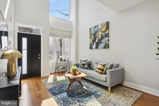 living room featuring wood-type flooring and a towering ceiling