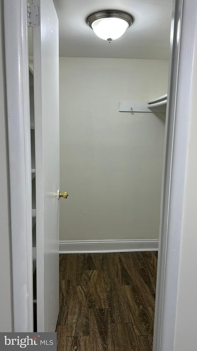 walk in closet with dark wood-type flooring