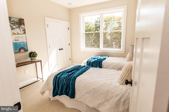 bedroom with a closet and carpet floors