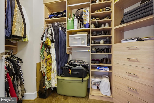 spacious closet featuring wood-type flooring