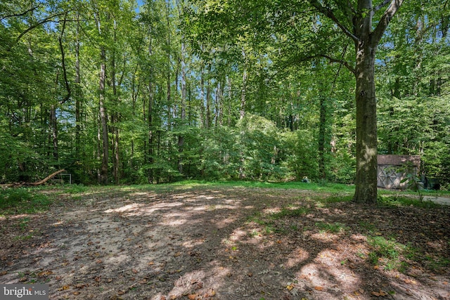 view of yard with a shed