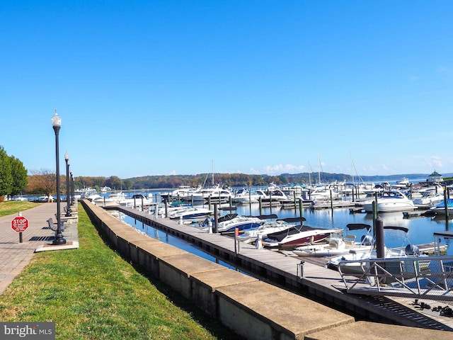 dock area with a water view