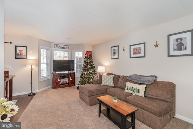 living room featuring hardwood / wood-style floors