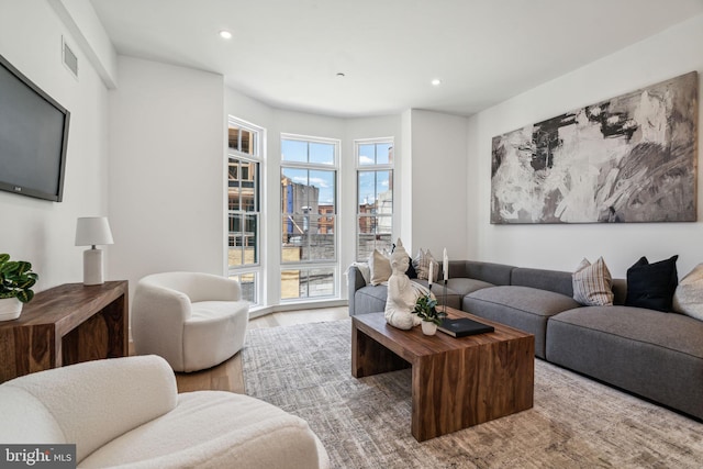 living room with light wood-type flooring