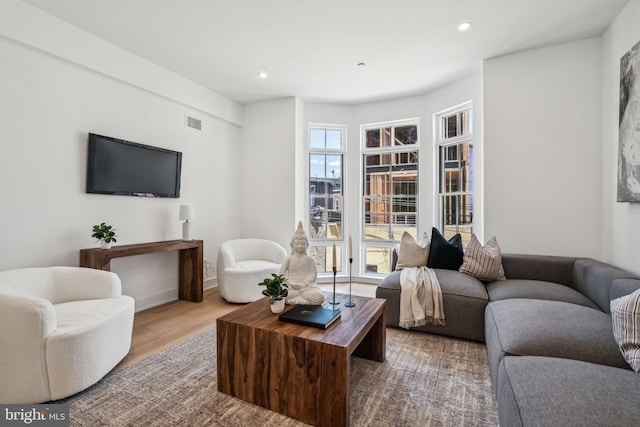 living room featuring wood-type flooring