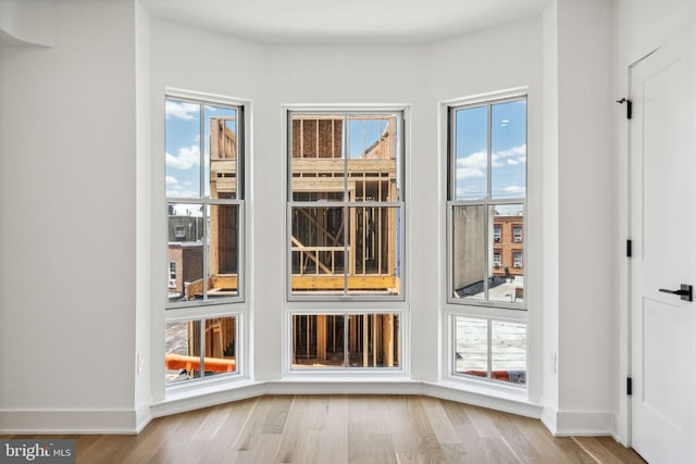 entryway featuring light hardwood / wood-style flooring and plenty of natural light