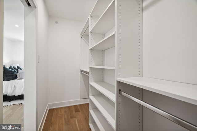 walk in closet with hardwood / wood-style flooring