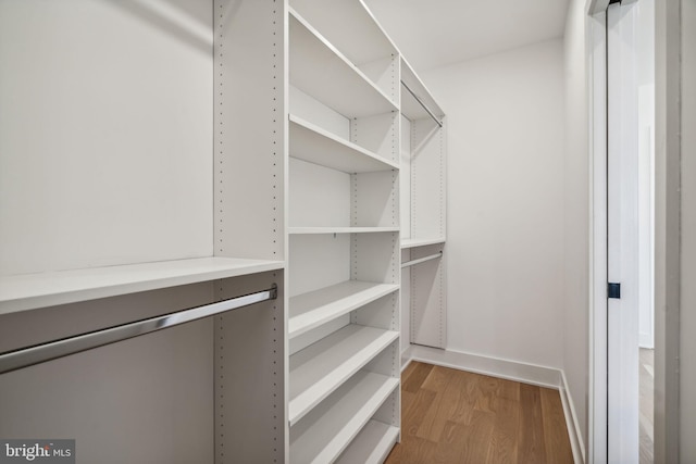 walk in closet featuring wood-type flooring