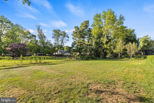 5120 Crittenden St, Hyattsville, MD 20781 - view of yard