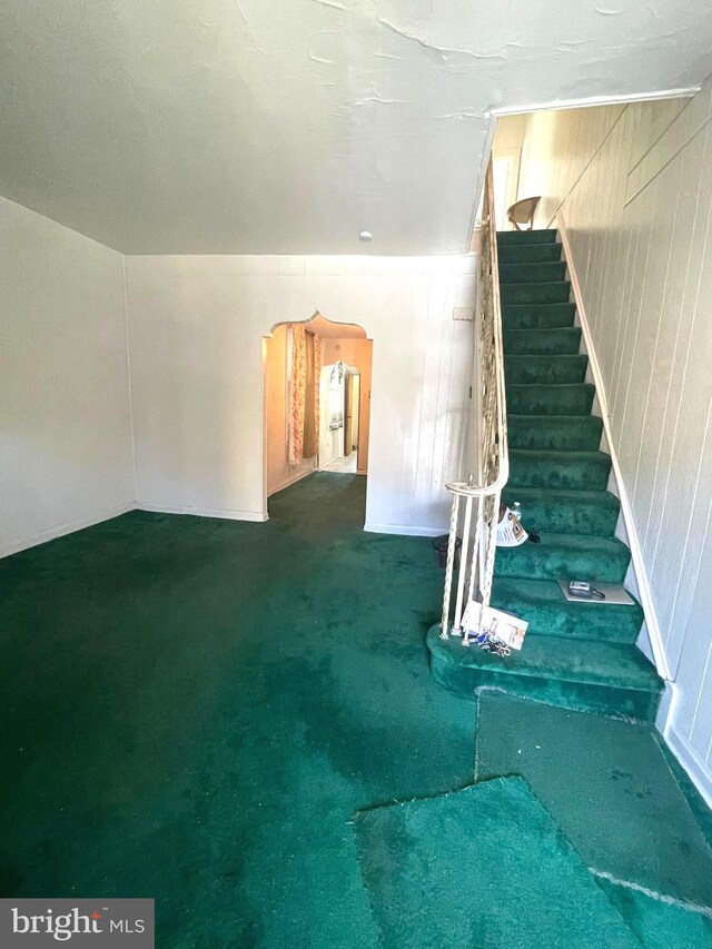 stairway with carpet floors and wooden walls