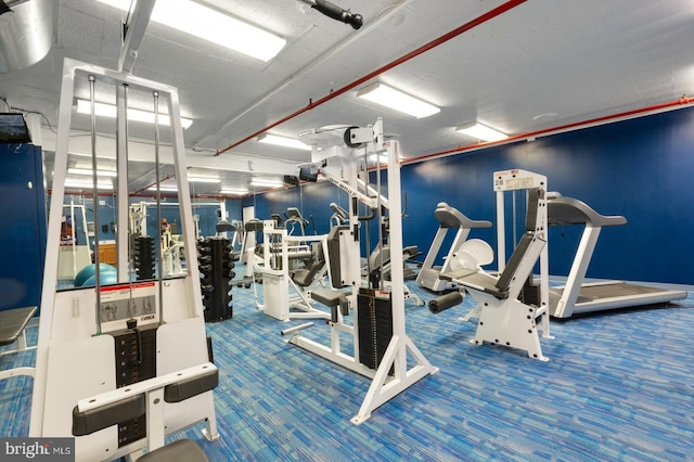 workout area featuring carpet floors