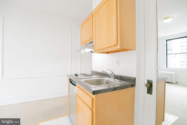 kitchen featuring ventilation hood, sink, light brown cabinets, dishwasher, and radiator heating unit