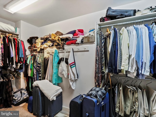 walk in closet with carpet floors