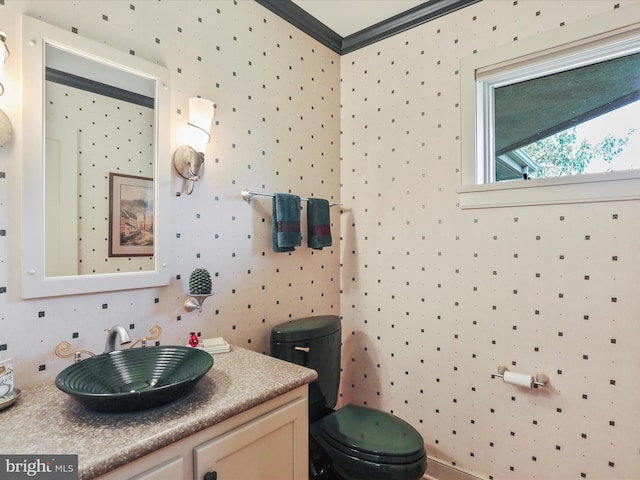 bathroom featuring ornamental molding, toilet, and vanity