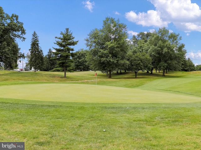 view of community featuring a lawn