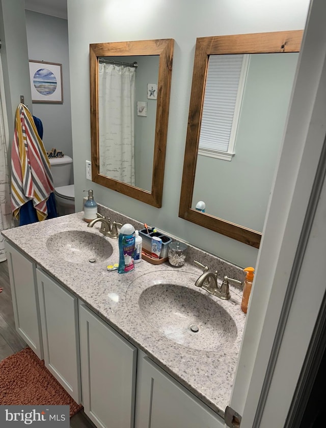 bathroom featuring wood-type flooring, toilet, and vanity