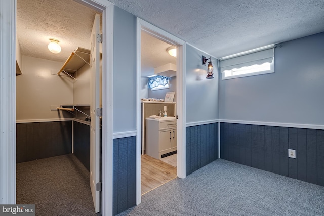 interior space with a sink and carpet