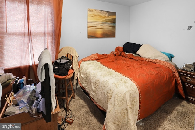 carpeted bedroom featuring multiple windows