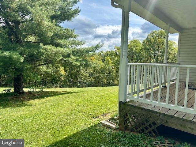 view of yard featuring a deck