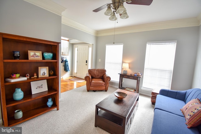 living area featuring ceiling fan, carpet, and ornamental molding