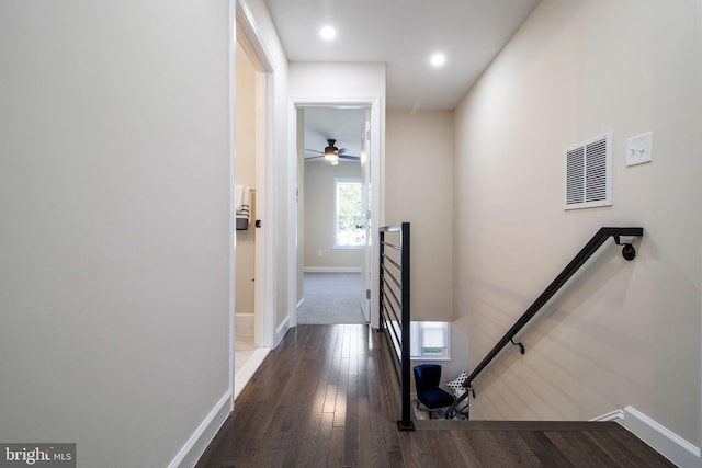 hall with dark hardwood / wood-style flooring