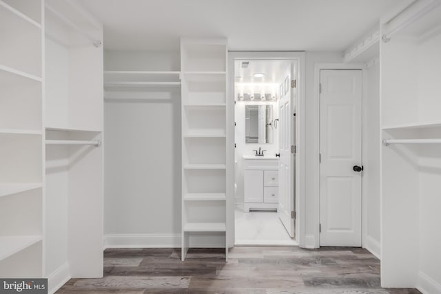 walk in closet with wood-type flooring and sink