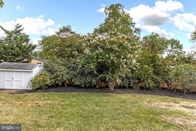 view of yard with a storage shed