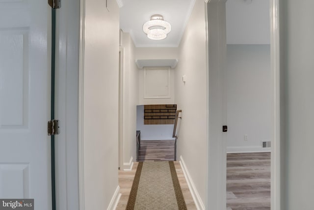 corridor with hardwood / wood-style floors and crown molding