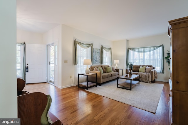 living room featuring a healthy amount of sunlight and light wood-type flooring