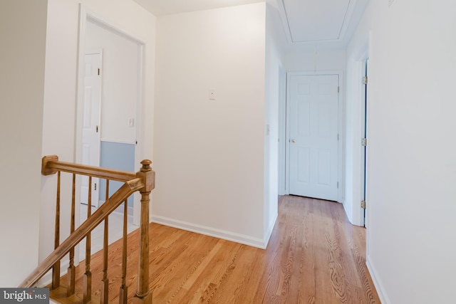 corridor featuring light hardwood / wood-style flooring