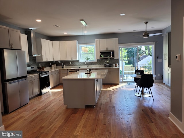 kitchen featuring light hardwood / wood-style flooring, appliances with stainless steel finishes, plenty of natural light, and wall chimney range hood